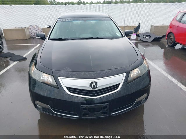 12653403 :رقم المزاد ، 19UUA8F59DA800040 vin ، 2013 Acura Tl مزاد بيع
