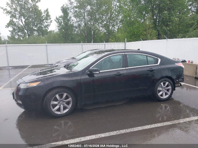 12653403 :رقم المزاد ، 19UUA8F59DA800040 vin ، 2013 Acura Tl مزاد بيع