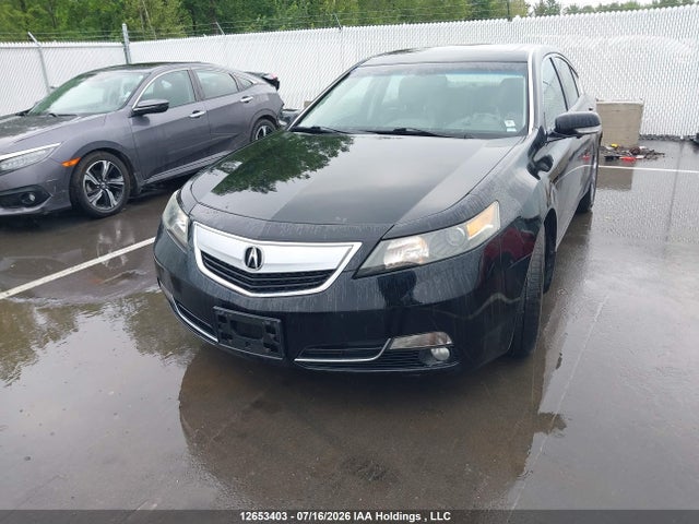 12653403 :رقم المزاد ، 19UUA8F59DA800040 vin ، 2013 Acura Tl مزاد بيع