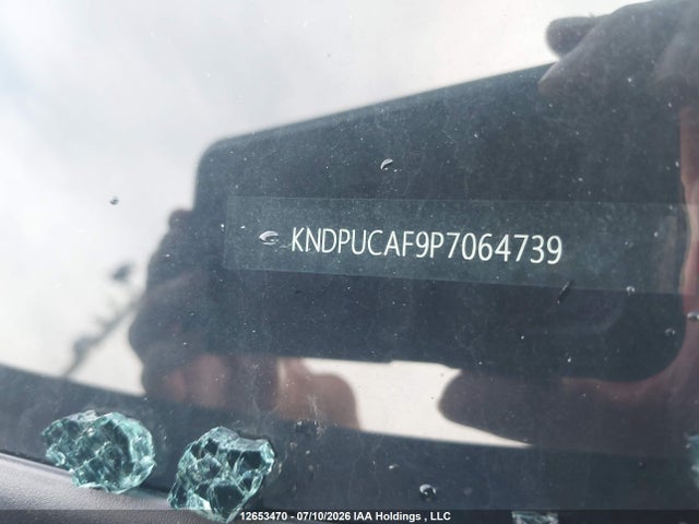 2023 Kia Sportage Lx/x-line მანქანა იყიდება აუქციონზე, vin: KNDPUCAF9P7064739, აუქციონის ნომერი: 12653470