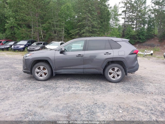 2T3R1RFV6NC295315 Toyota Rav4 Xle/xle Premium