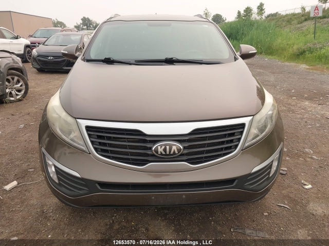 Продаж на аукціоні авто 2013 Kia Sportage, vin: KNDPBCA29D7456912, номер лоту: 12653570