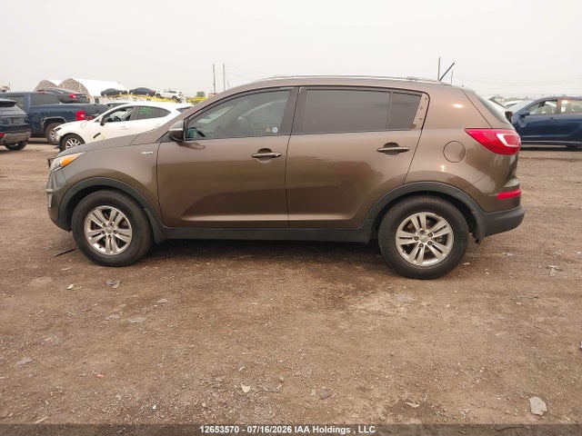 Продаж на аукціоні авто 2013 Kia Sportage, vin: KNDPBCA29D7456912, номер лоту: 12653570