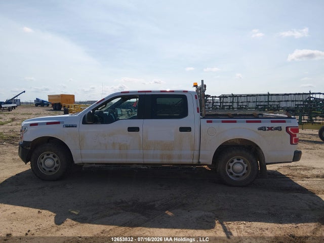 Ford F150 Supercrew 2020 1FTEW1EBXLKE49473 Image 14