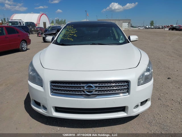 2009 Nissan Maxima S/sv მანქანა იყიდება აუქციონზე, vin: 1N4AA51E99C820782, აუქციონის ნომერი: 12653918