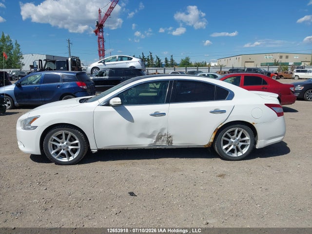 2009 Nissan Maxima S/sv მანქანა იყიდება აუქციონზე, vin: 1N4AA51E99C820782, აუქციონის ნომერი: 12653918