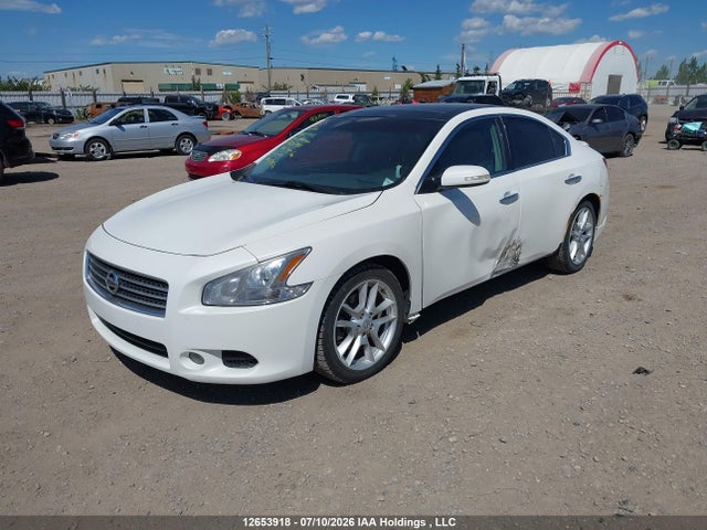2009 Nissan Maxima S/sv მანქანა იყიდება აუქციონზე, vin: 1N4AA51E99C820782, აუქციონის ნომერი: 12653918