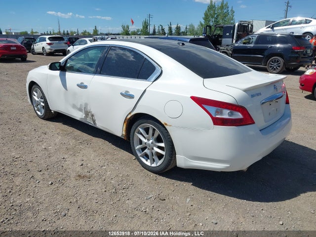 2009 Nissan Maxima S/sv მანქანა იყიდება აუქციონზე, vin: 1N4AA51E99C820782, აუქციონის ნომერი: 12653918