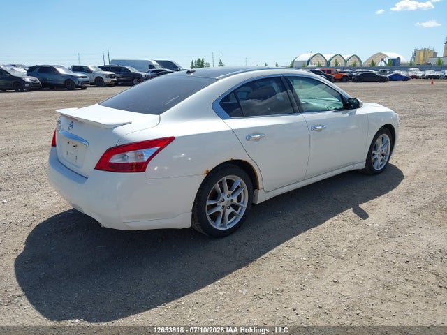 2009 Nissan Maxima S/sv მანქანა იყიდება აუქციონზე, vin: 1N4AA51E99C820782, აუქციონის ნომერი: 12653918