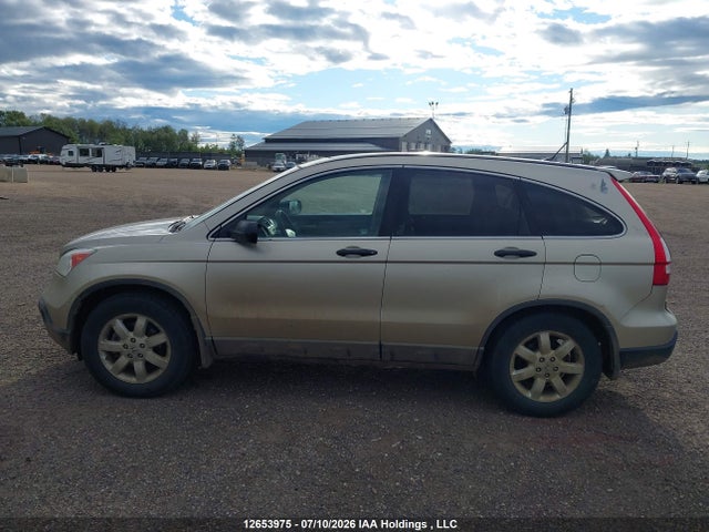 Aukcja sprzedaży 2009 Honda Cr-v Ex, vin: 5J6RE48559L801609, numer aukcji: 12653975