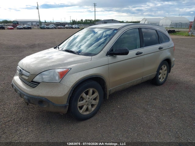 Aukcja sprzedaży 2009 Honda Cr-v Ex, vin: 5J6RE48559L801609, numer aukcji: 12653975