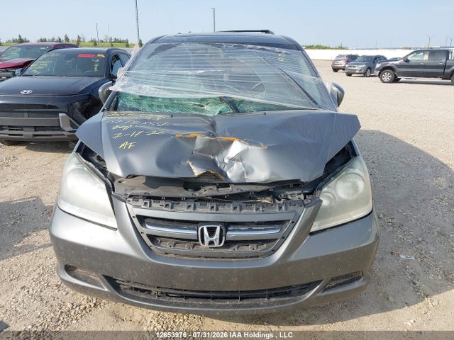 Продаж на аукціоні авто 2007 Honda Odyssey Exl, vin: 5FNRL38667B456153, номер лоту: 12653976