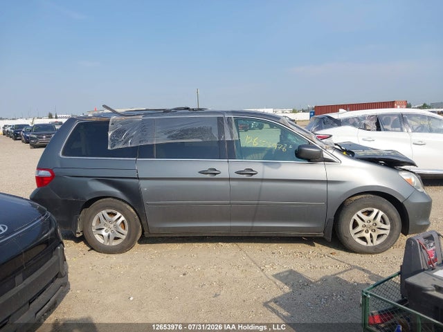 Продаж на аукціоні авто 2007 Honda Odyssey Exl, vin: 5FNRL38667B456153, номер лоту: 12653976