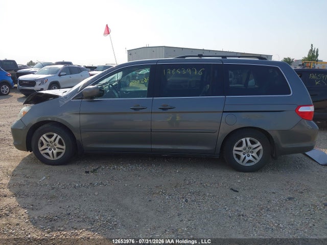 Продаж на аукціоні авто 2007 Honda Odyssey Exl, vin: 5FNRL38667B456153, номер лоту: 12653976