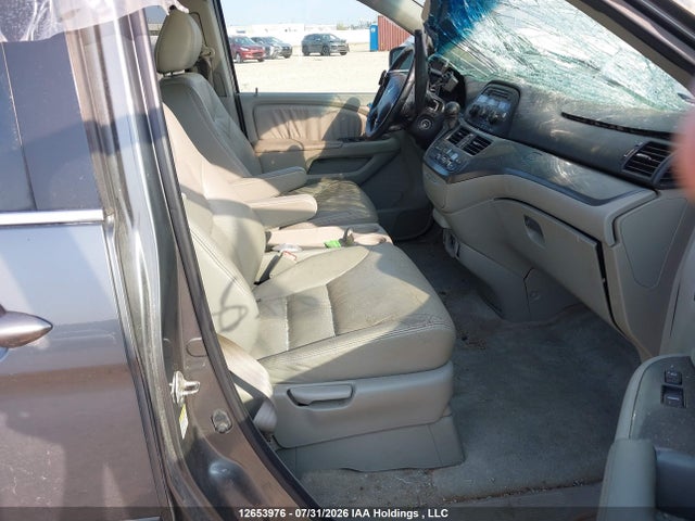 Продаж на аукціоні авто 2007 Honda Odyssey Exl, vin: 5FNRL38667B456153, номер лоту: 12653976