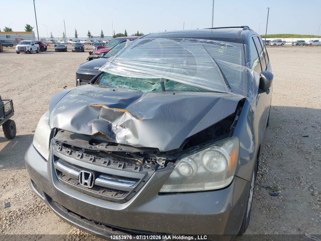 Продаж на аукціоні авто 2007 Honda Odyssey Exl, vin: 5FNRL38667B456153, номер лоту: 12653976