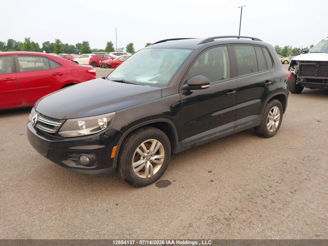WVGJV7AX4FW556663 Volkswagen Tiguan Comfortline/highline/special Edition/trendline