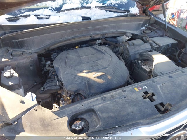 Продаж на аукціоні авто 2021 Kia Telluride Nightsky/sx/sx Limited, vin: 5XYP5DHC6MG122142, номер лоту: 12563773