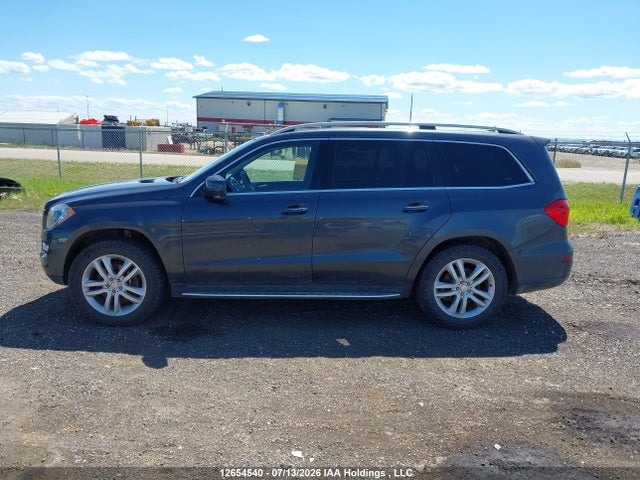 Mercedes-Benz Gl 350 Bluetec 4matic 2014 4JGDF2EE8EA298388 Image 15