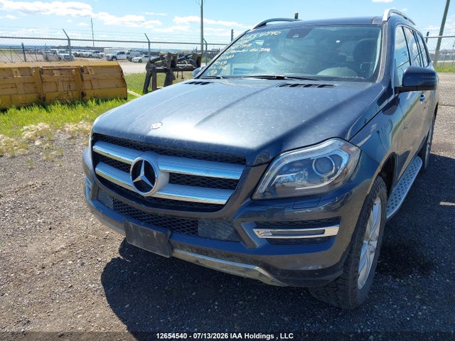Mercedes-Benz Gl 350 Bluetec 4matic 2014 4JGDF2EE8EA298388 Image 6