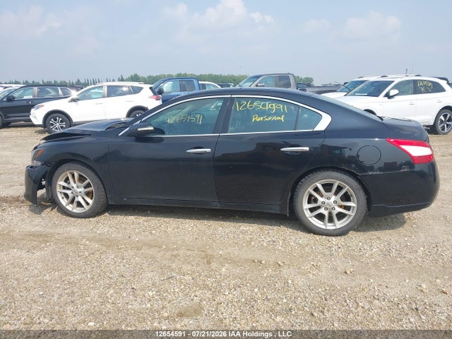 2009 Nissan Maxima S/sv მანქანა იყიდება აუქციონზე, vin: 1N4AA51E39C803332, აუქციონის ნომერი: 12654591