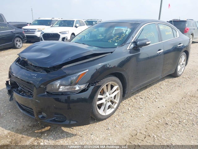2009 Nissan Maxima S/sv მანქანა იყიდება აუქციონზე, vin: 1N4AA51E39C803332, აუქციონის ნომერი: 12654591