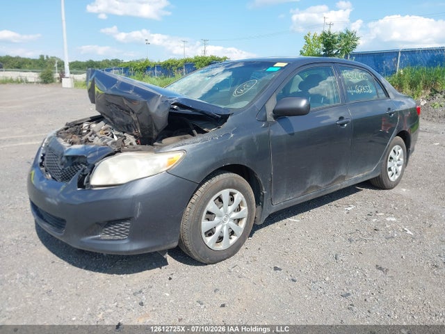 2009 Toyota Corolla Ce მანქანა იყიდება აუქციონზე, vin: 2T1BU40EX9C187833, აუქციონის ნომერი: 12612725