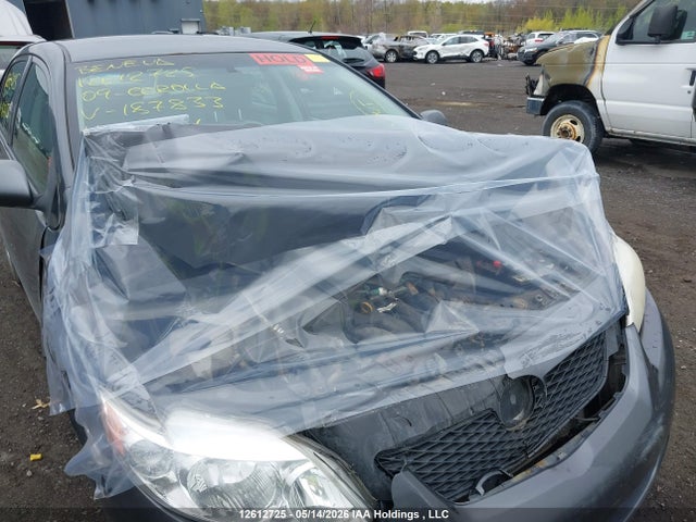 2009 Toyota Corolla Ce მანქანა იყიდება აუქციონზე, vin: 2T1BU40EX9C187833, აუქციონის ნომერი: 12612725