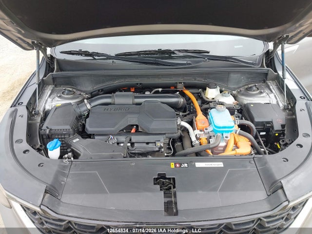 2026 Kia Sorento Ex მანქანა იყიდება აუქციონზე, vin: KNDRKDJHXT5495148, აუქციონის ნომერი: 12654834