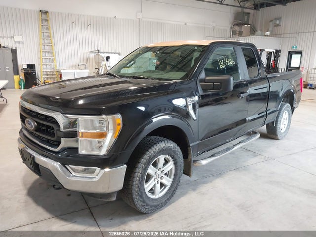 1FTFX1E86MKD49281 Ford F150 Super Cab