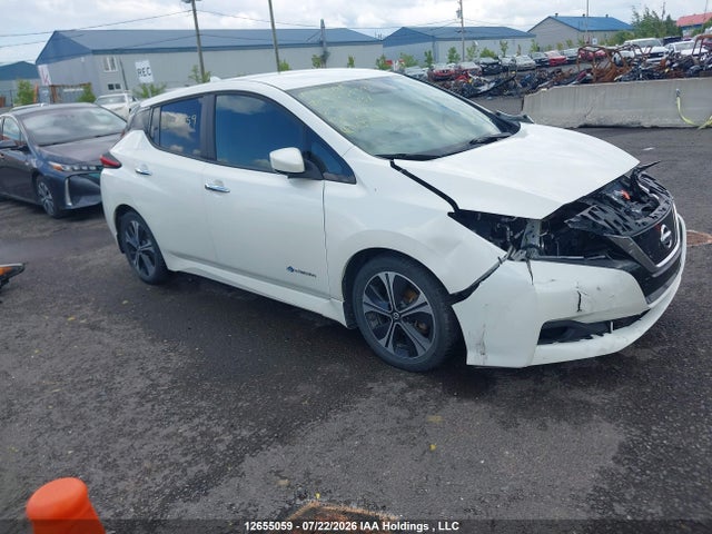 Nissan Leaf S/sl/sv 2019 1N4AZ1CP1KC304437 головне зображення