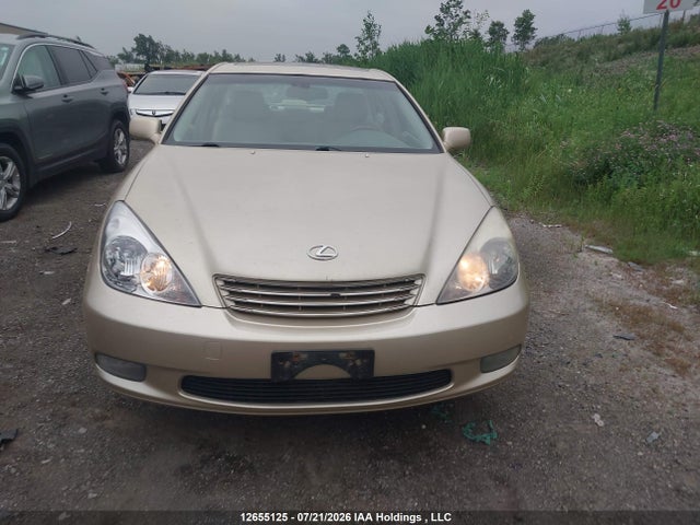 Продаж на аукціоні авто 2003 Lexus Es 300, vin: JTHBF30G630120362, номер лоту: 12655125