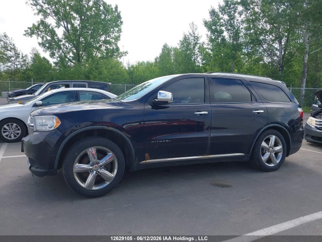 12629105 :رقم المزاد ، 1D4SE5GT5BC593298 vin ، 2011 Dodge Durango Citadel مزاد بيع