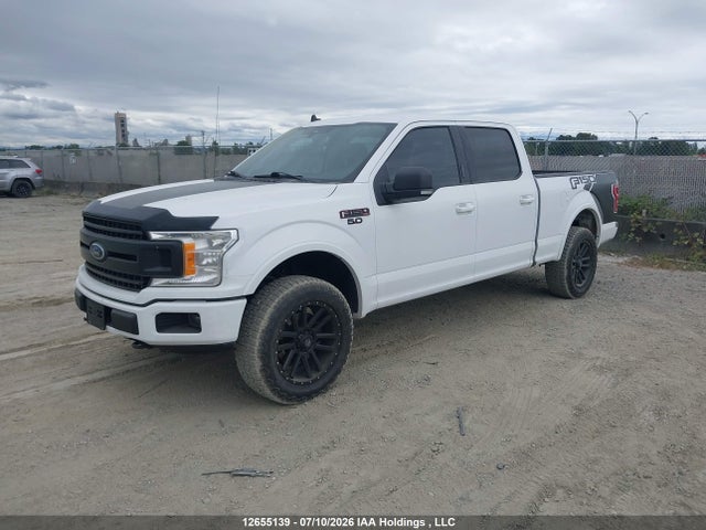 12655139 :رقم المزاد ، 1FTFW1E57KKC56940 vin ، 2019 Ford F150 Supercrew مزاد بيع