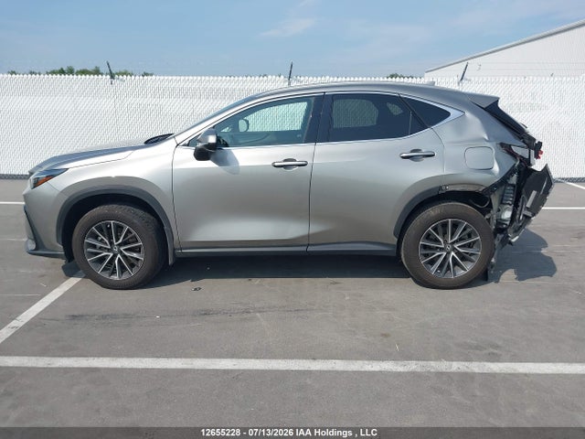 Lexus NX 350 2024 2T2GGCEZ1RC057843 Image 15