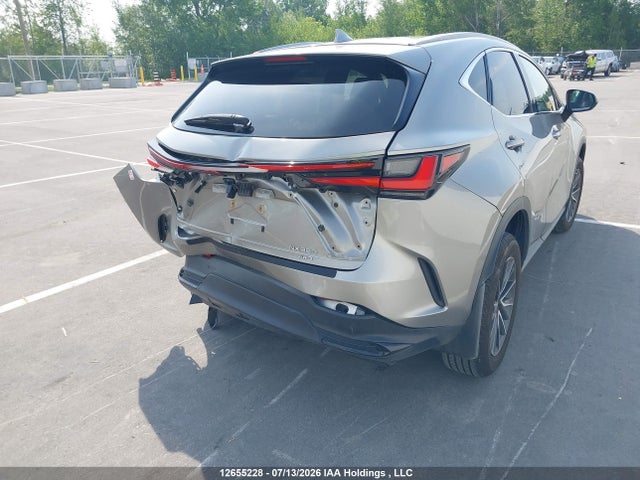 Lexus NX 350 2024 2T2GGCEZ1RC057843 Image 4