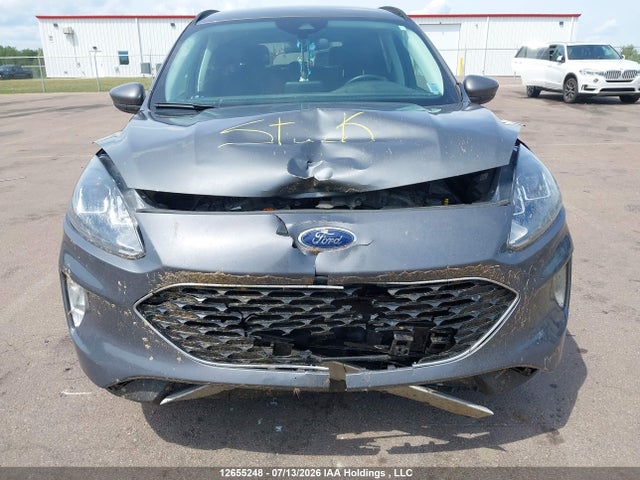 Ford ESCAPE SEL 2022 1FMCU0H60NUA49981 Image 6