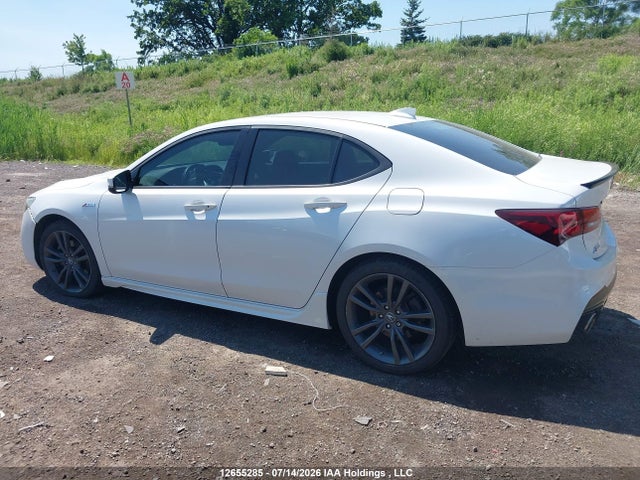 Acura Tlx Technology/a-spec 2019 19UUB3F6XKA802255 Image 14