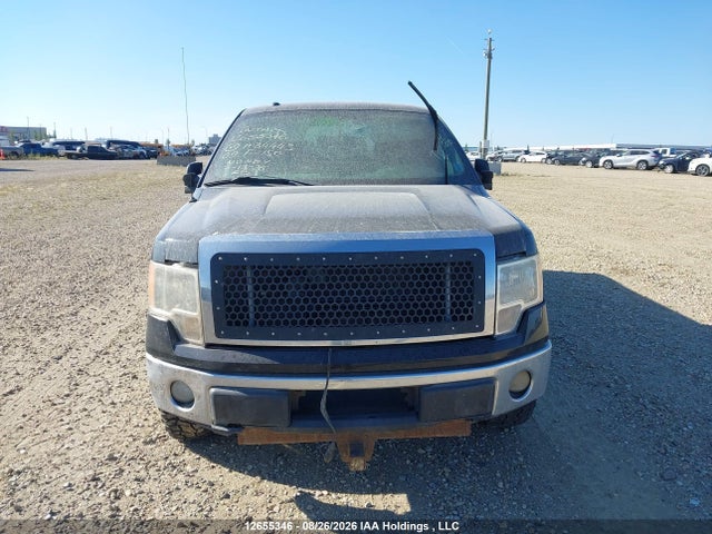 Продаж на аукціоні авто 2009 Ford F150 Super Cab, vin: 1FTRX14809FA34443, номер лоту: 12655346