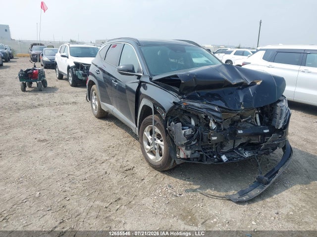 Hyundai Tucson Preferred Awd With Trend Package 2023 KM8JCCAE0PU184846 главное изображение