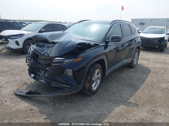 2023 Hyundai Tucson Preferred Awd With Trend Package მანქანა იყიდება აუქციონზე, vin: KM8JCCAE0PU184846, აუქციონის ნომერი: 12655546