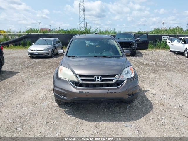 Продаж на аукціоні авто 2010 Honda Cr-v Ex-l, vin: 5J6RE4H76AL809546, номер лоту: 12655560
