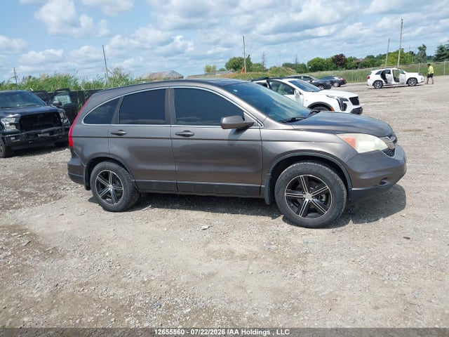 Продаж на аукціоні авто 2010 Honda Cr-v Ex-l, vin: 5J6RE4H76AL809546, номер лоту: 12655560