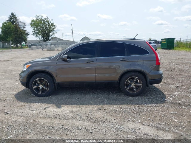 Продаж на аукціоні авто 2010 Honda Cr-v Ex-l, vin: 5J6RE4H76AL809546, номер лоту: 12655560