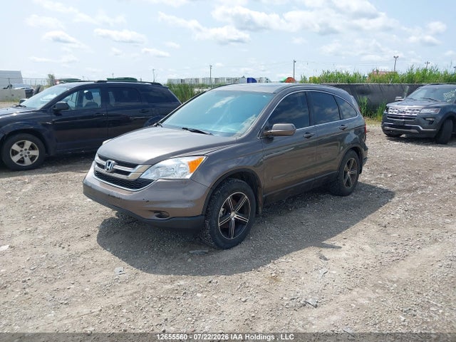 Продаж на аукціоні авто 2010 Honda Cr-v Ex-l, vin: 5J6RE4H76AL809546, номер лоту: 12655560