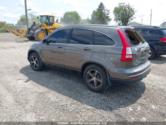 Продаж на аукціоні авто 2010 Honda Cr-v Ex-l, vin: 5J6RE4H76AL809546, номер лоту: 12655560
