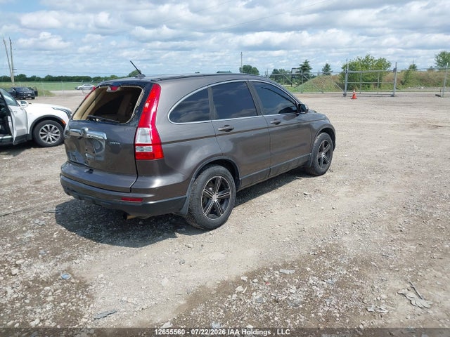 Продаж на аукціоні авто 2010 Honda Cr-v Ex-l, vin: 5J6RE4H76AL809546, номер лоту: 12655560
