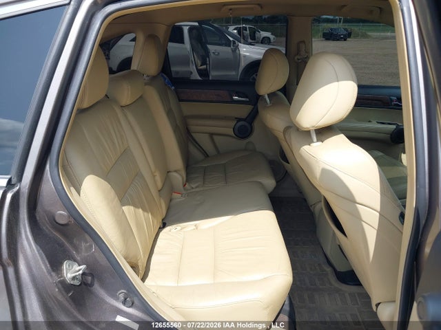 Продаж на аукціоні авто 2010 Honda Cr-v Ex-l, vin: 5J6RE4H76AL809546, номер лоту: 12655560