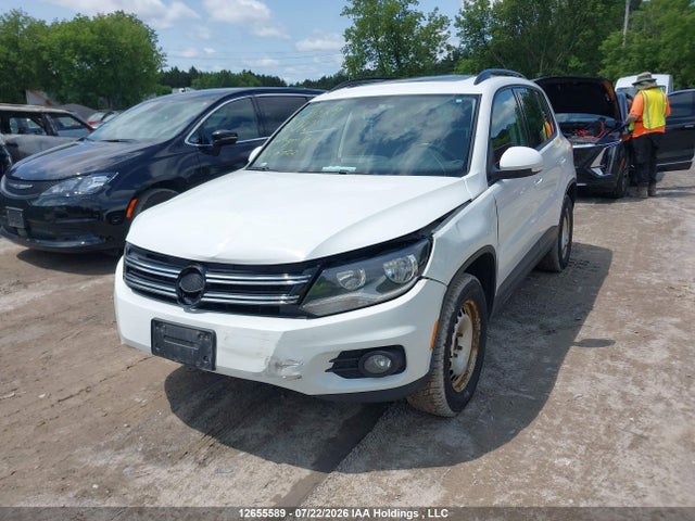 WVGJV7AX1GW532421 Volkswagen Tiguan Comfortline/highline/special Edition