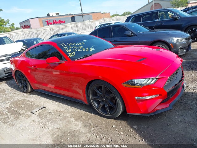 2019 1FA6P8TH0K5162888 main image